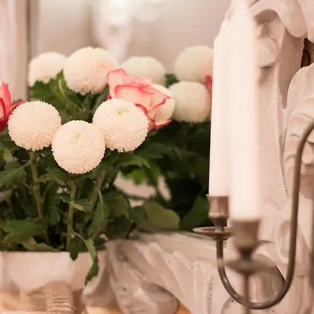 酒店 Bucher - Metnitztalerhof 弗里萨赫