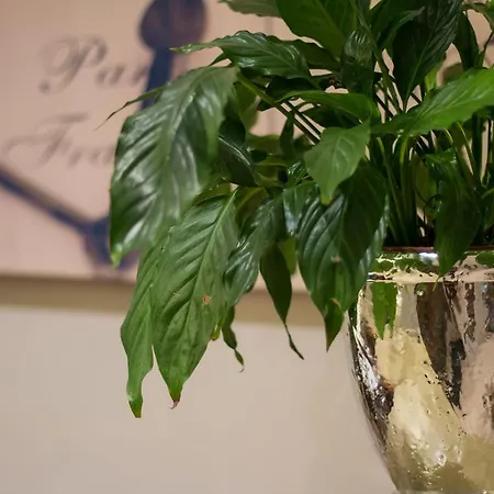 Hotel Villa Bucher - Metnitztalerhof