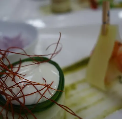 Bucher - Metnitztalerhof Otel Friesach (Carinthia)