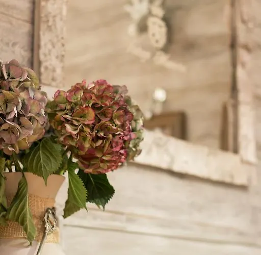 Hotel Bucher - Metnitztalerhof