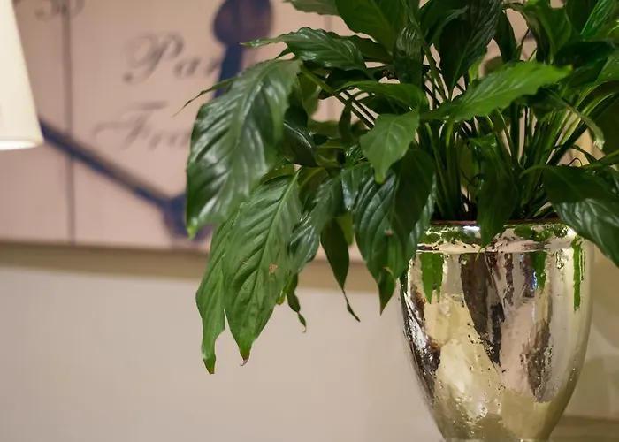 Otel Bucher - Metnitztalerhof