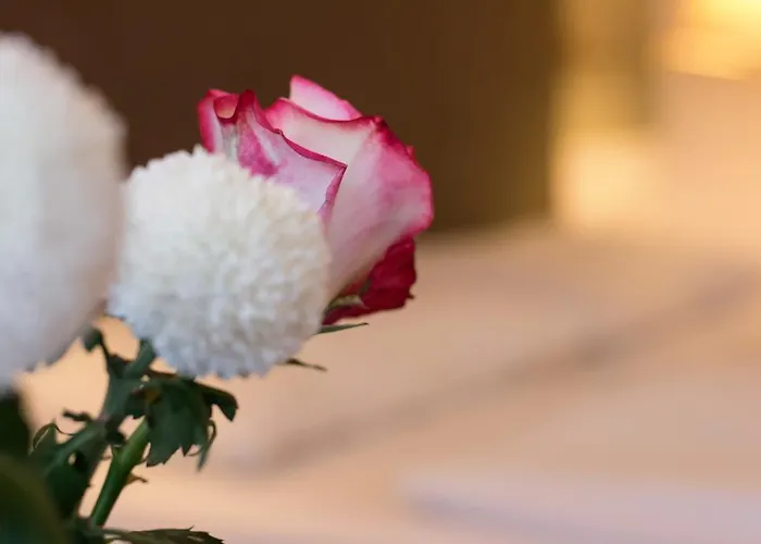 Bucher - Metnitztalerhof Фризах