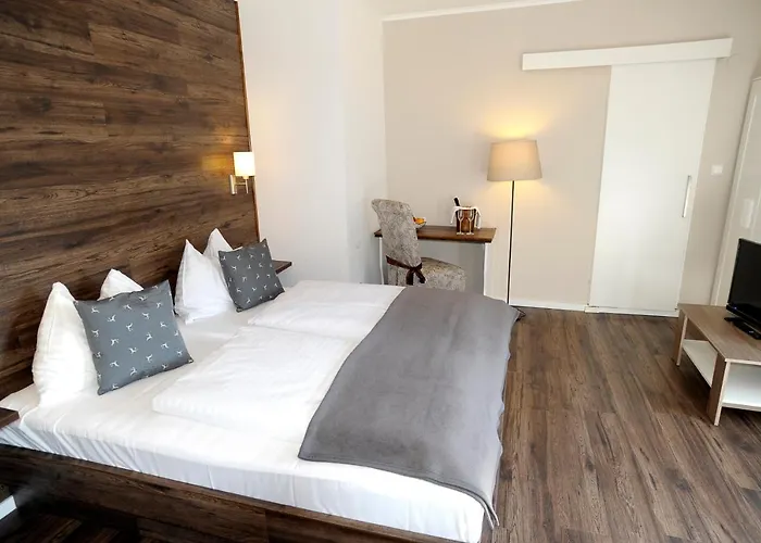 Hotel Bucher - Metnitztalerhof Friesach (Carinthia)